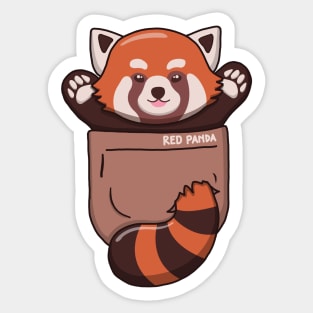 Cute Red Panda In Pocket Sticker